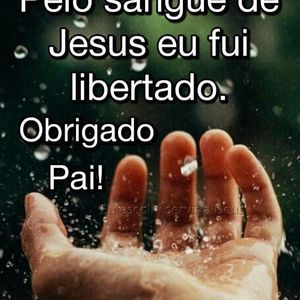 Meet your Posher, Dina